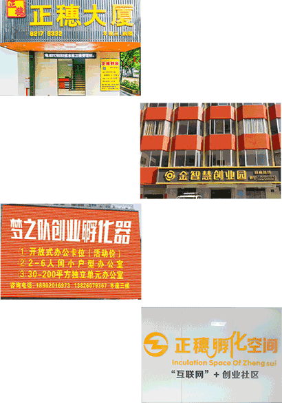 正穗知識(shí)產(chǎn)權(quán)實(shí)力展示